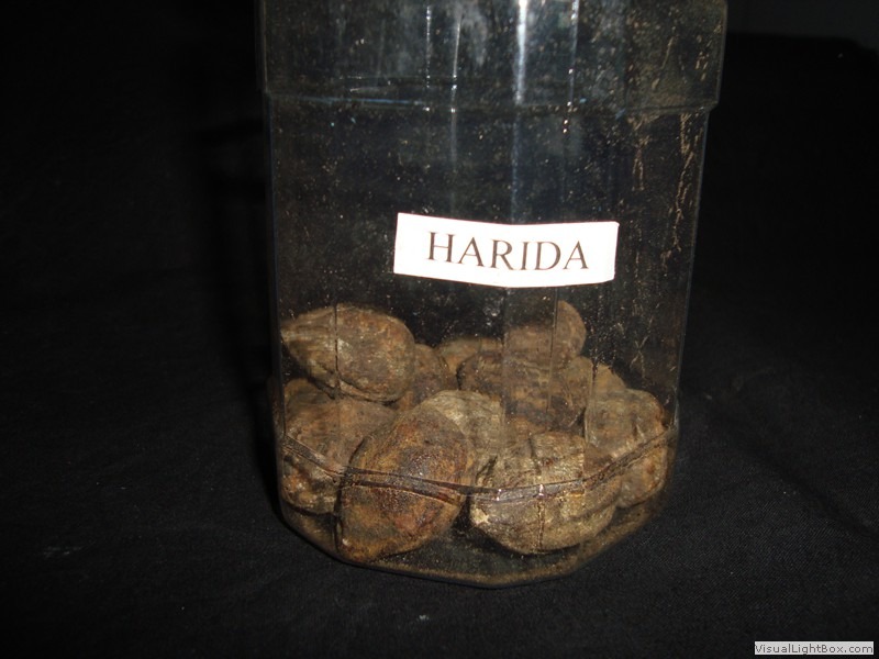 harida_seed_1