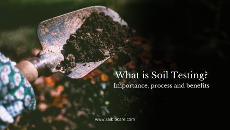 soil_testing_benefits_process