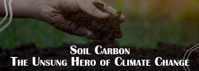 Measuring Soil Carbon 