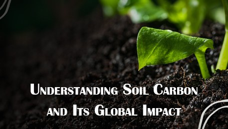 Understanding soil carbons & its global impact